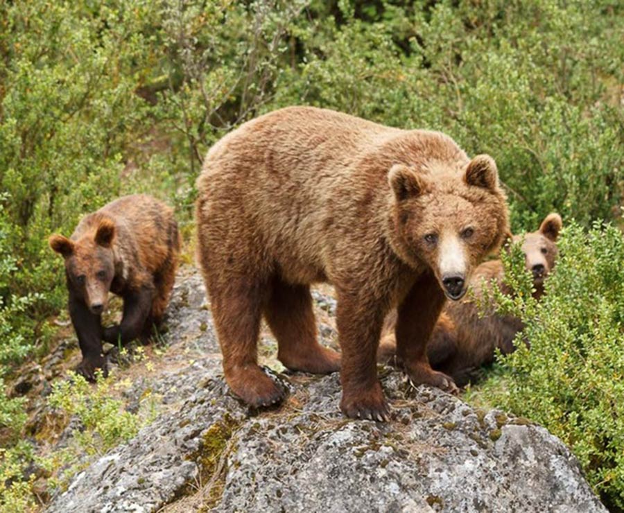 Turismo Cuenca Parque Hosquillo
