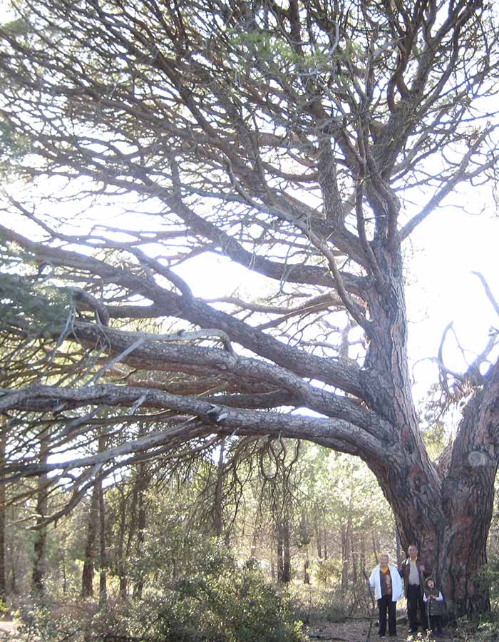 Turismo Castilla la Mancha