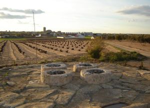 Turismo Castilla la Mancha Toboso